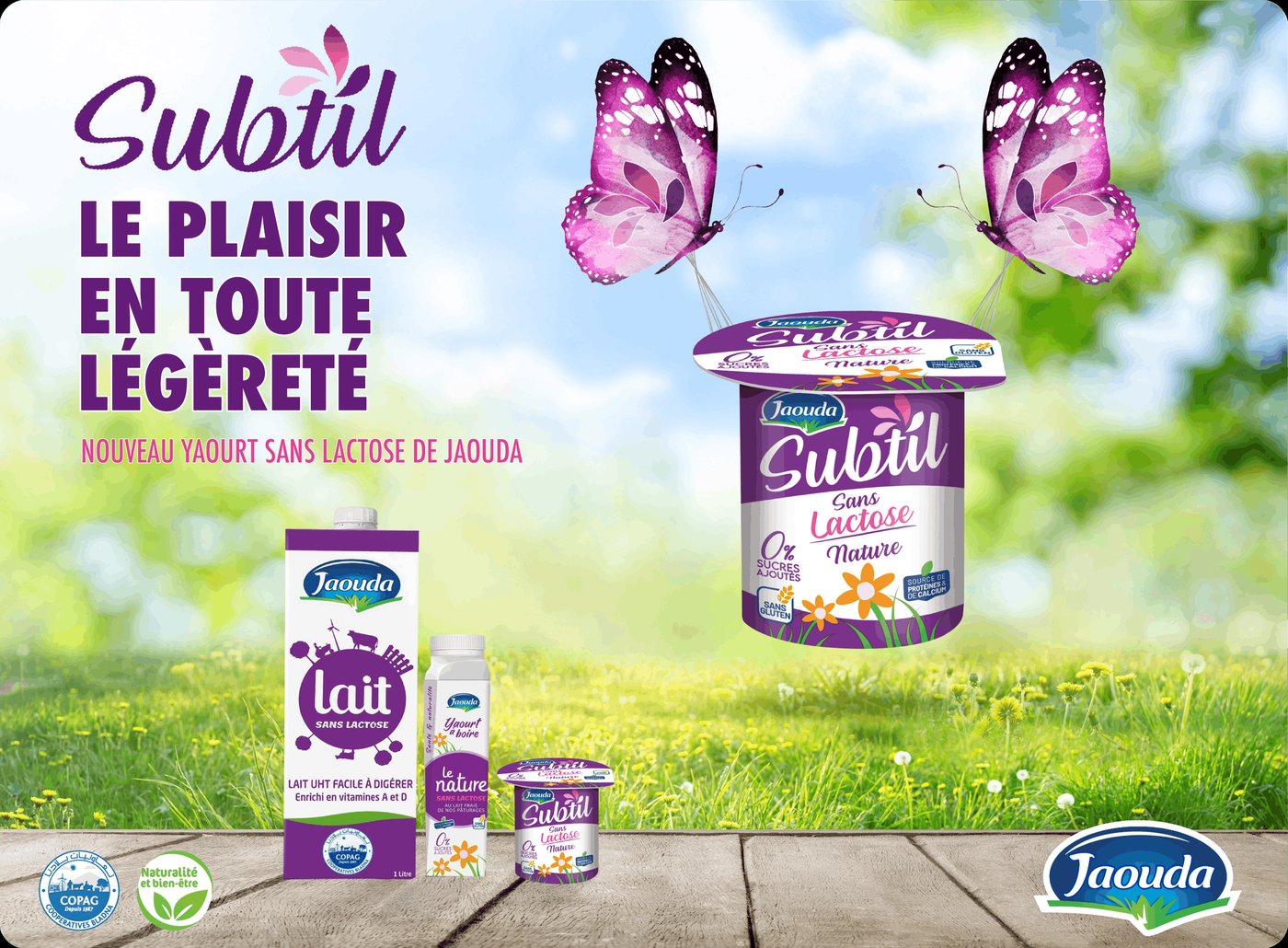 Jaouda - Subtil
